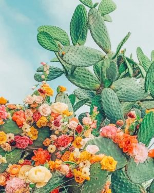 Cactus With Flowers Paint By Numbers