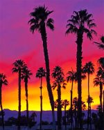 California Palm Trees Paint By Numbers
