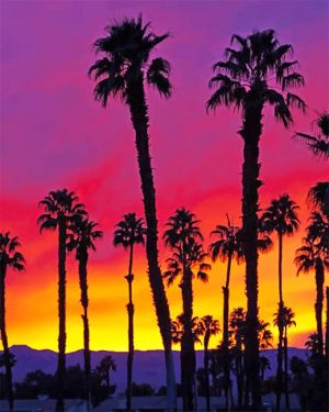 California Palm Trees Paint By Numbers