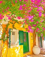 Colored House Door Greek NEW Paint By Numbers