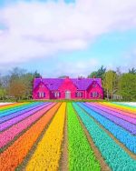 Colorful Field Paint By Numbers