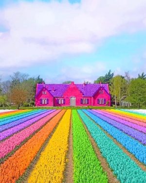 Colorful Field Paint By Numbers