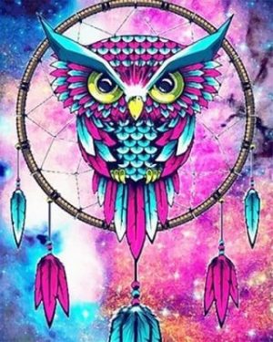 Owl Dream Catcher Paint By Numbers