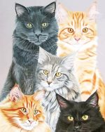 Cute Cats Paint By Numbers