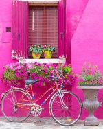 Bicycle And Flowers Paint By Numbers