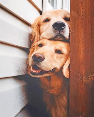 Labrador Puppies Paint By Numbers