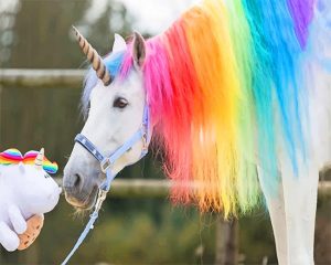 Rainbow Unicorn Paint By Numbers