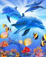 Dolphins Underwater With Tropical Fishes NEW Paint By Numbers
