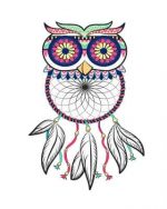 Dream Catcher Owl Paint By Numbers