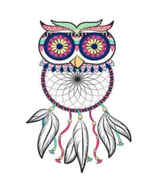 Dream Catcher Owl Paint By Numbers