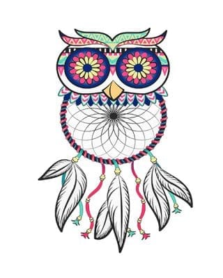 Dream Catcher Owl Paint By Numbers