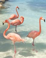 Flamingo Birds Paint By Numbers