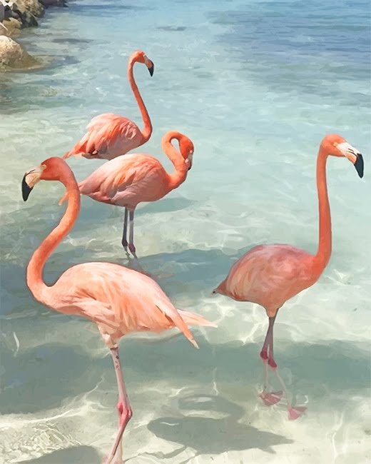 Flamingo Birds Paint By Numbers