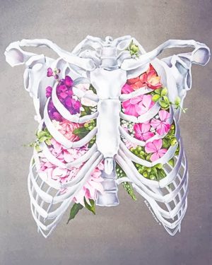 Floral Ribcage Paint By Numbers