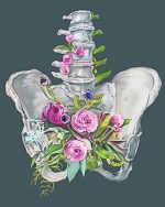 Floral Anatomy Paint By Numbers