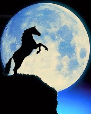Moon Horse Silhouette Paint By Numbers