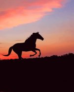 Horse Silhouette At Sunset Paint By Numbers