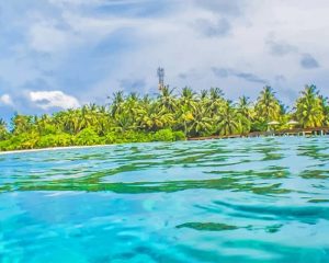 Tropical Beach Paint By Numbers