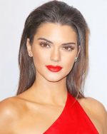 Kendall Jenner Paint By Numbers