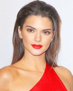Kendall Jenner Paint By Numbers