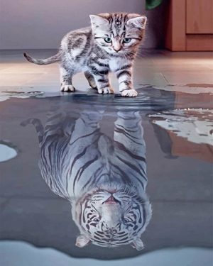 Tiger Cat Water Reflection Paint By Numbers