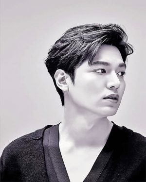 Lee Min Ho Black and White Paint By Numbers