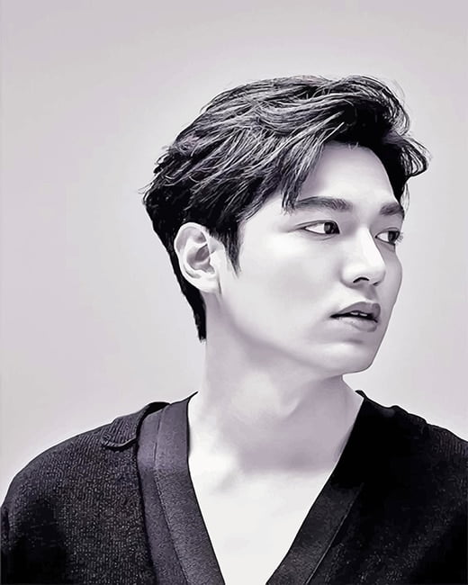 Lee Min Ho Black and White Paint By Numbers