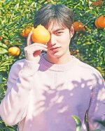 Lee Min Ho Paint By Numbers