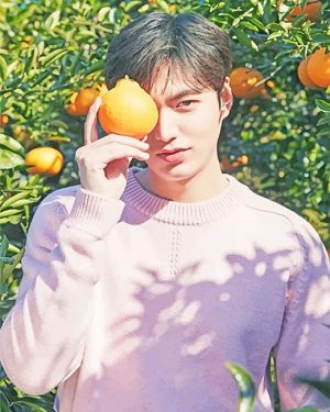 Lee Min Ho Paint By Numbers