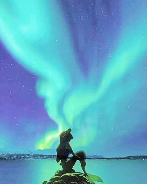 Aurora Little Mermaid Paint By Numbers