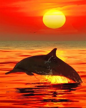 Dolphin At Sunset Paint By Numbers