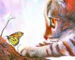 Kitten And Butterfly Paint By Numbers