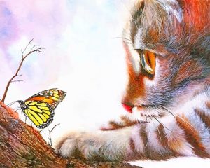Kitten And Butterfly Paint By Numbers