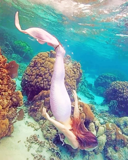 Mermaid In The Water Paint By Numbers