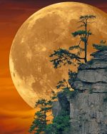 Full Moon Paint By Numbers