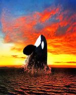 Orca At Sunset Paint By Numbers