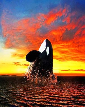 Orca At Sunset Paint By Numbers