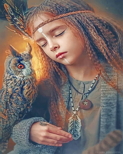 Native Gil And Owl Paint By Numbers