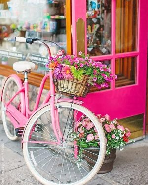 Pink Bike And Flowers Paint By Numbers
