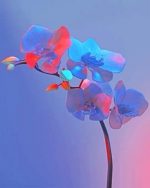 Orchid Plant Paint By Numbers