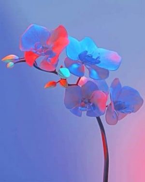 Orchid Plant Paint By Numbers