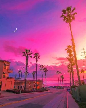 Purple Evening Paint By Numbers