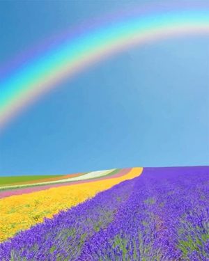 Rainbow Over Hokkaido Garden Paint By Numbers