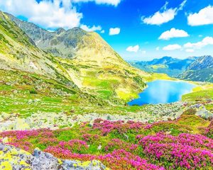 Retezat National Park Paint By Numbers