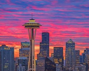 Seattle space needle sunset adult paint by numbers