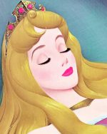 Sleeping Beauty Paint By Numbers