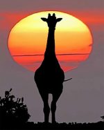 Sunset Giraffe Silhouette Paint By Numbers