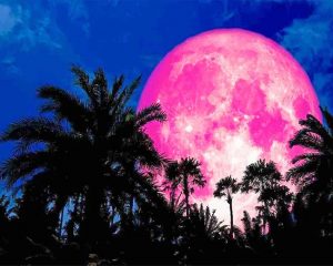 Pink Full Moon Paint By Numbers