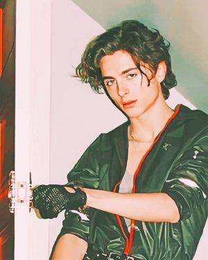 Timothee Chalamet Paint By Numbers