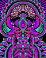 Trippy Mandalas NEW Paint By Numbers